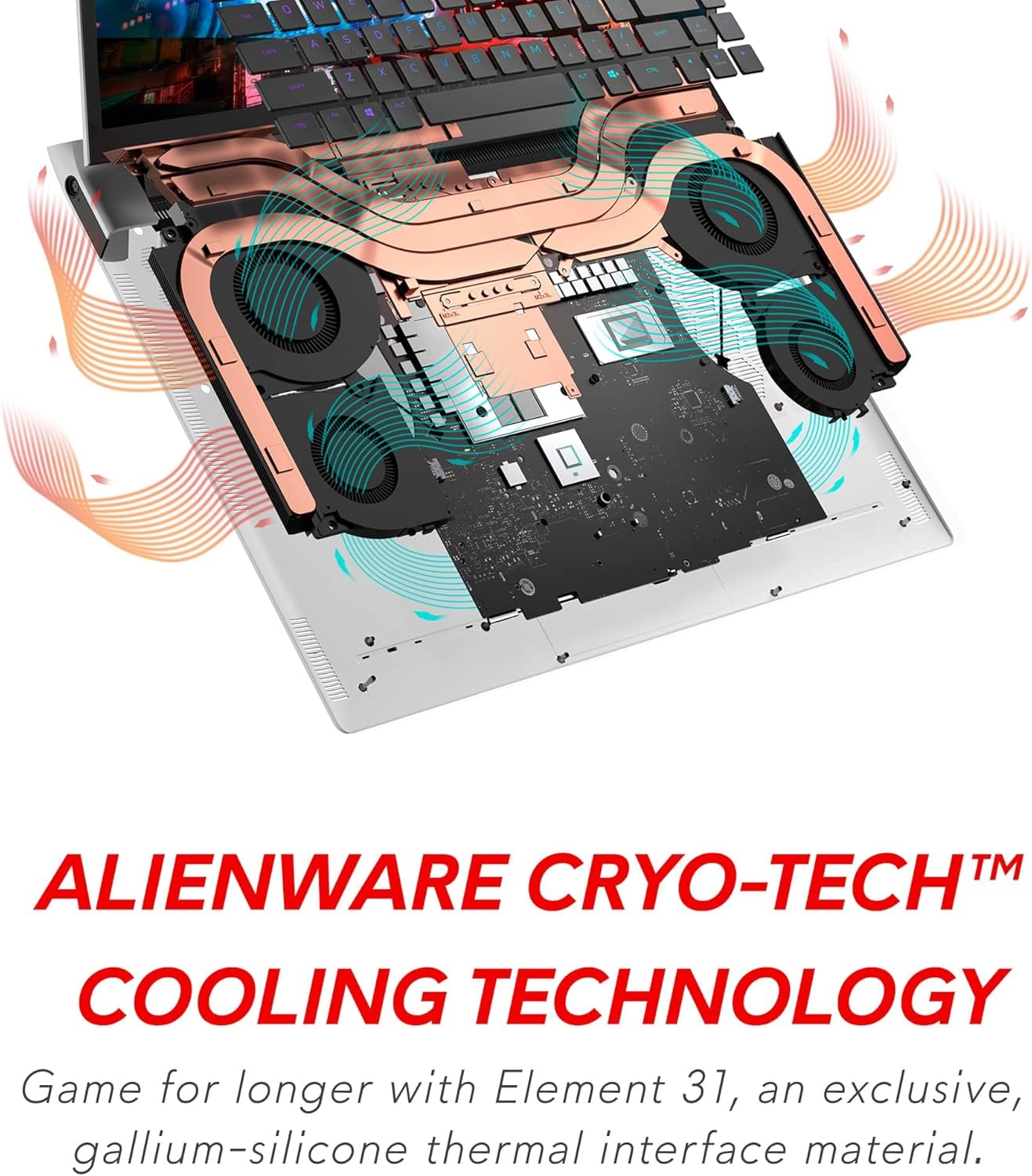 81-VBddYSL._AC_SL1500_.jpg