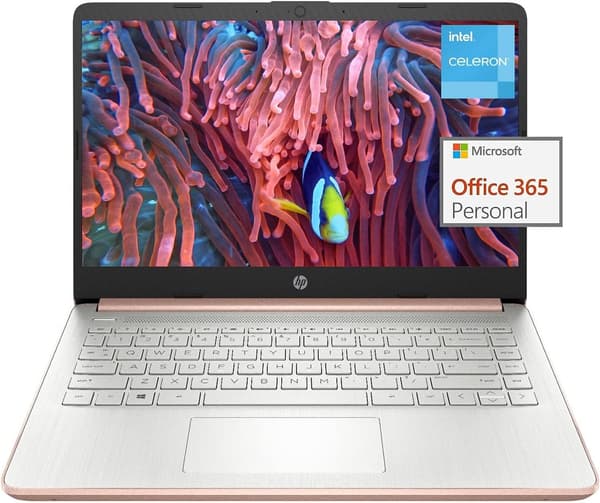 HP-Stream-14-inch-Laptop-for-Student-and-Business-Intel.jpg